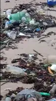 MORADORES DE BUSCA VIDA FAZEM AÇÃO COLETIVA PARA LIMPEZA DAS PRAIAS E COMBATE AOS IMPACTOS DAS CHUVAS
