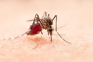 DENGUE: CUIDADOS BÁSICOS E VACINAS PREVINEM ADOECIMENTOS. EXAME INOVADOR AUXILIA NO DIAGNÓSTICO DIFERENCIAL  