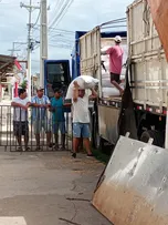 MILHO CHEGA A REMANSO E GARANTE ALIMENTO PARA OS REBANHOS