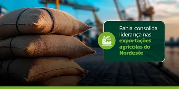 BAHIA CONSOLIDA LIDERANÇA NAS EXPORTAÇÕES AGRÍCOLAS DO NORDESTE