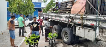 ENTREGAS DE INSUMOS PARA A PRODUÇÃO FORTALECEM A AGRICULTURA FAMILIAR DE MUNICÍPIOS DO SEMIÁRIDO NORDESTE II