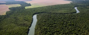 ALTA DE 55% DO DESMATAMENTO DA AMAZÔNIA EM ABRIL LIGA O ALERTA NO GOVERNO LULA