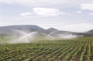 PROJETOS DE IRRIGAÇÃO NO OESTE BAIANO ALCANÇAM R$ 633 MILHÕES EM VALOR BRUTO DE PRODUÇÃO