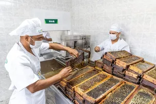 NOVOS EQUIPAMENTOS GARANTEM RENDA PARA APICULTORES BAIANOS