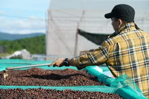 PAÍS FECHOU 2024 COM CONCESSÃO DE R$ 220 BILHÕES EM LINHAS RURAIS E AGROINDUSTRIAIS, APONTA PESQUISA