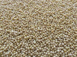 ALTA NA PRODUÇÃO DE CAFÉ E SOJA REFORÇA PROTAGONISMO DO BRASIL NO AGRONEGÓCIO, APONTA ABIA