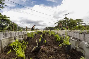 SALVADOR INAUGURA HORTA DA DIVERSIDADE COM FOCO EM INCLUSÃO SOCIAL E SUSTENTABILIDADE