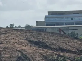 DESMATAMENTO EM ÁREA DA PARALELA PREOCUPA MORADORES DE PIATÃ