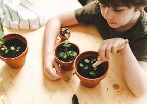 DE GRAÇA: SHOPPING PROMOVE OFICINA MINI HORTA EM HOMENAGEM À SEMANA DO MEIO AMBIENTE