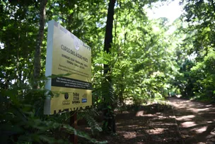 SALVADOR ESTÁ ENTRE AS CIDADES COM MELHOR QUALIDADE AMBIENTAL DA BAHIA E ACIMA DA MÉDIA NACIONAL