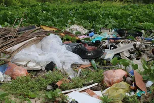 VOLUNTÁRIOS ENCONTRAM LATAS DE ALIMENTOS DE ORIGEM CHINESA E ATÉ PENICO EM AÇÃO QUE RECOLHEU MAIS DE 400 KG DE LIXO NA ILHA DE ITAPARICA