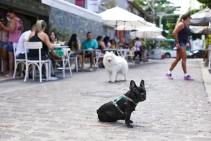 CASA CHÁLABI É O NOVO PONTO PET FRIENDLY DO RIO VERMELHO