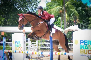 COMO É FEITO O TREINAMENTO DE UM CAVALO ATLETA DE ALTA PERFORMANCE?