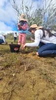 EMBASA INTEGRA AÇÃO PLANTA BAHIA COM PLANTIO DE 500 MUDAS EM 16 MUNICÍPIOS BAIANOS