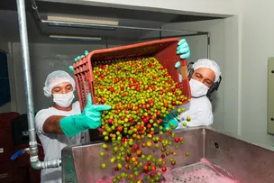BANCO DO NORDESTE INVESTE MAIS DE R$ 2 BILHÕES NA AGRICULTURA FAMILIAR DA BAHIA