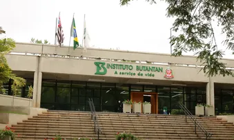 BUTANTAN SE PREPARA PARA TESTAR VACINA CONTRA GRIPE AVIÁRIA EM HUMANOS