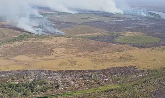 BRASIL PERDEU 111,7 MILHÕES DE HECTARES DE ÁREAS NATURAIS EM 40 ANOS