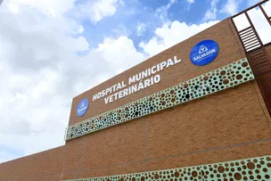 HOSPITAL VETERINÁRIO DE SALVADOR REALIZA MUTIRÃO DE AGENDAMENTO PARA CASTRAÇÃO DE CÃES E GATOS