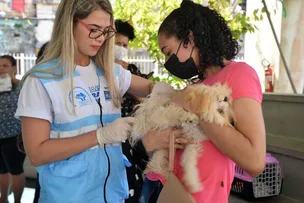 SALVADOR INICIA CAMPANHA DE VACINAÇÃO ANTIRRÁBICA ANIMAL NESTA SEGUNDA (18)