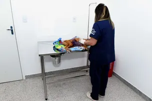 PROJETO EM TRAMITAÇÃO PROPÕE LINHA DE CRÉDITO PARA MÉDICOS-VETERINÁRIOS EM SALVADOR