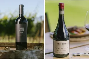 PENEDO BORGES INICIA CELEBRAÇÕES DE 20 ANOS COM MASTERCLASS EXCLUSIVA NA WINE BRASIL MUSIC