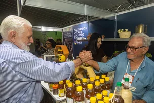 PROJETO DE WAGNER ESTIMULA CRIAÇÃO DE ABELHAS PARA PROTEGER MEIO AMBIENTE