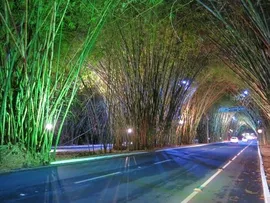 SALVADOR VAI GANHAR ILUMINAÇÃO ESPECIAL EM AZUL SAFIRA PARA CELEBRAR 60 ANOS DA PROFISSÃO DE ADMINISTRADOR