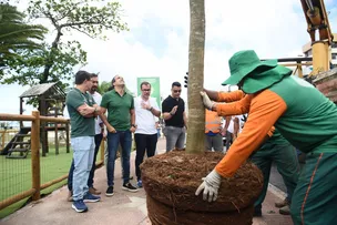 CORREDOR VERDE: PREFEITURA INICIA NOVO PROGRAMA DE ARBORIZAÇÃO EM SALVADOR; VEJA DETALHES