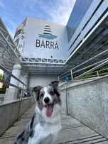 VACINAÇÃO ANTIRRÁBICA 2025: SHOPPING BARRA RECEBE POSTO DA CAMPANHA NESTE FIM DE SEMANA