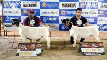 UAUA RECEBE CRIADORES DE OVINOS E CAPRINOS DE 8 ESTADOS BRASILEIROS NO EXPOUAUA 2025