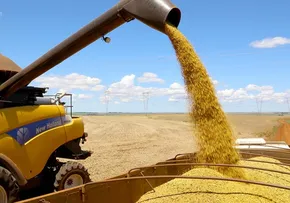 MINISTRO DA AGRICULTURA ANUNCIA QUE MALÁSIA ABRIU MERCADO PARA SEIS PRODUTOS DO BRASIL