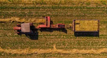 MAPA E SEBRAE FIRMAM PARCERIA PARA IMPULSIONAR AGROINDÚSTRIAS COM PREVISÃO DE AUMENTO DE 20% NA PRODUÇÃO