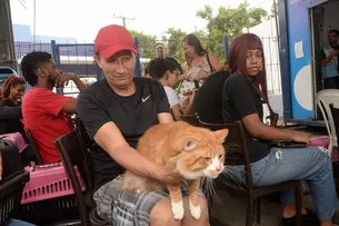 CASTRAMÓVEL INICIA ATENDIMENTOS NO RESGATE COM CASTRAÇÕES GRATUITAS PARA CÃES E GATOS