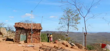 BAHIA É O ESTADO DO NE QUE MAIS PERDE CAATINGA PARA USINAS SOLARES