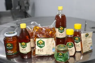 UNIDADE DE BENEFICIAMENTO DE PRODUTOS DE ABELHAS ELEVA PRODUÇÃO DE MÉIS DO SEMIÁRIDO BAIANO