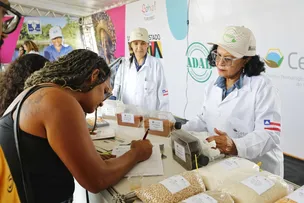 FEIRAS AGROPECUÁRIAS MOVIMENTAM INTERIOR DA BAHIA DURANTE A PRIMEIRA QUINZENA DE SETEMBRO