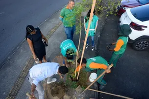 SALVADOR BATE RECORDE E ENCERRA OPERAÇÃO PLANTIO-CHUVA 2025 COM 12,6 MIL ÁRVORES PLANTADAS