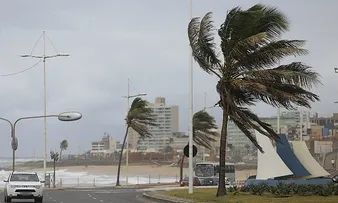 VENTOS ULTRAPASSAM A PREVISÃO E ATINGEM 59KM/H NA CAPITAL