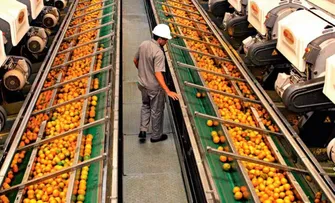 EXPORTAÇÃO DE SUCO DE LARANJA CAI 4,4% NO 1º TRIMESTRE DA SAFRA 2025/26