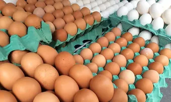 JAPÃO PASSA OS ESTADOS UNIDOS COMO MAIOR COMPRADOR DE OVOS DO BRASIL