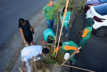 SALVADOR BATE RECORDE E ENCERRA OPERAÇÃO PLANTIO-CHUVA 2025 COM 12,6 MIL ÁRVORES PLANTADAS