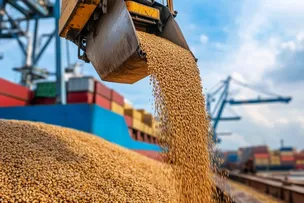 BRASIL BATE RECORDE DE EXPORTAÇÃO DE SOJA E AMENDOIM PARA A CHINA