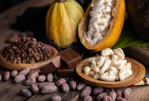COZINHA SHOW, VILA DO CHOCOLATE E PRATOS PROMOCIONAIS: SAIBA O QUE VAI ROLAR NO FESTIVAL SABORES DE ITACARÉ