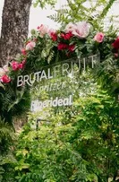 BRUTAL FRUIT CHEGA A SALVADOR E AMPLIA PRESENÇA NO MERCADO BRASILEIRO