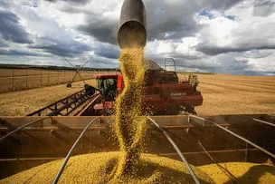 IBGE: SAFRA DE GRÃOS DA BAHIA BATE RECORDE EM 2025 COM  INCREMENTO DE 12,3%