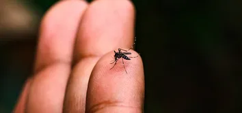 ANVISA APROVA PRIMEIRA VACINA DE DOSE ÚNICA CONTRA A DENGUE