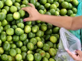 IPC-FIPE SOBE 0,17% NA 3ª QUADRISSEMANA DE NOVEMBRO, APÓS ALTA NA 2ª QUADRISSEMANA