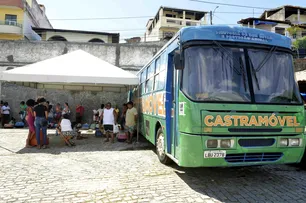 CASTRAMÓVEL INICIA CASTRAÇÕES GRATUITAS PARA CÃES E GATOS EM PLATAFORMA NESTA SEGUNDA (17)