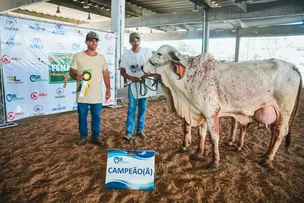FENAGRO: LEILÕES E ANIMAIS DE ALTA GENÉTICA SÃO DESTAQUES DA FEIRA EM 2025