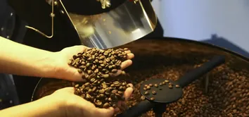 COLHEITA RECORDE PRESSIONA PREÇOS DO CAFÉ NO BRASIL